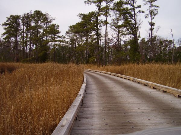 A slow car tour around the Jamestown settlement area had this interesting winding board-road.