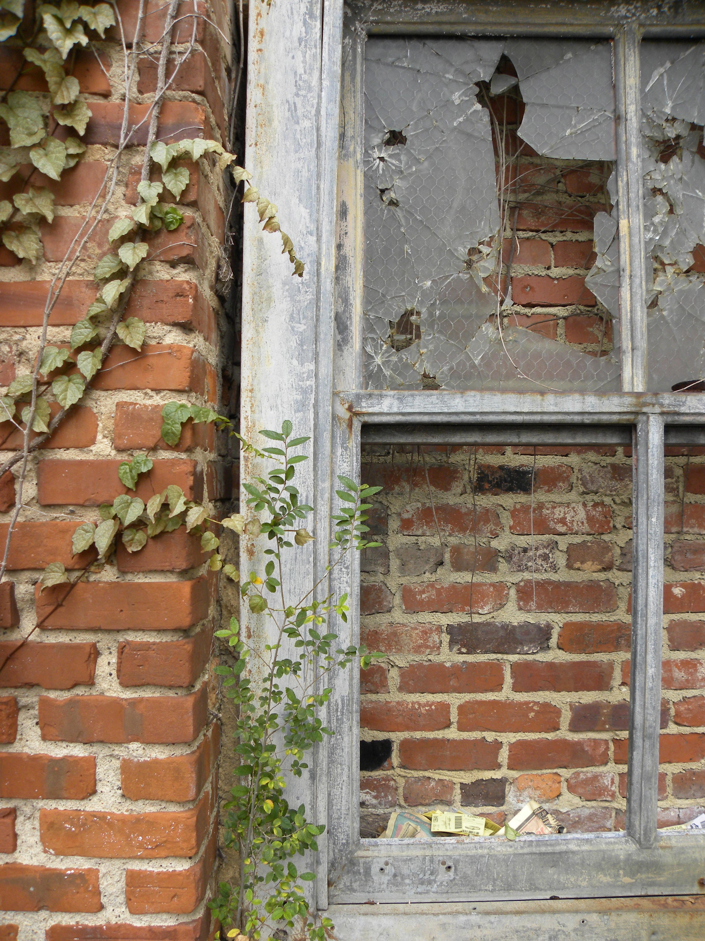 Alley Window