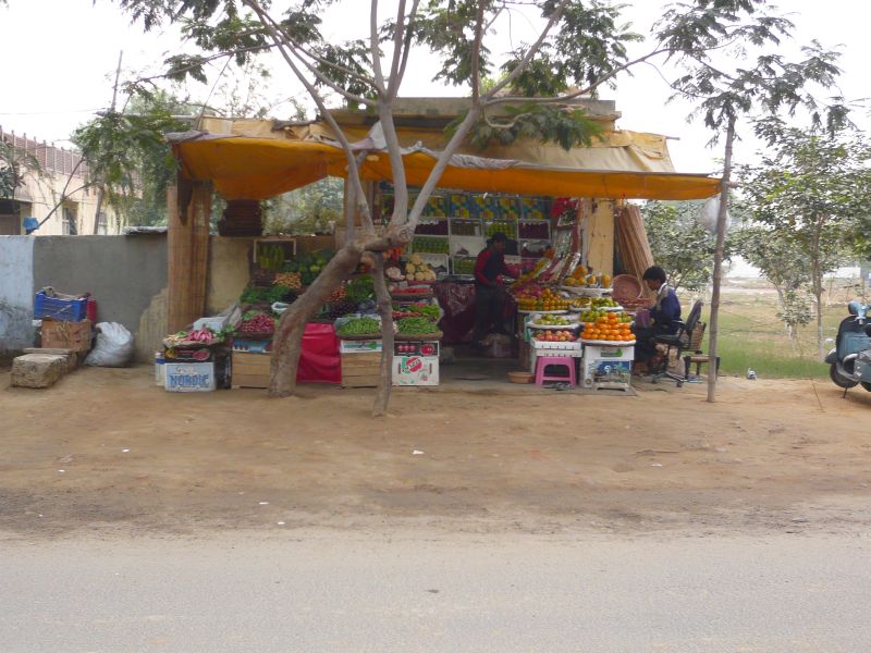P1000354.JPG