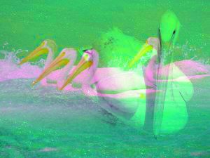 o3/80/805480/1/89091965.9GLhHErE.blend4.jpg