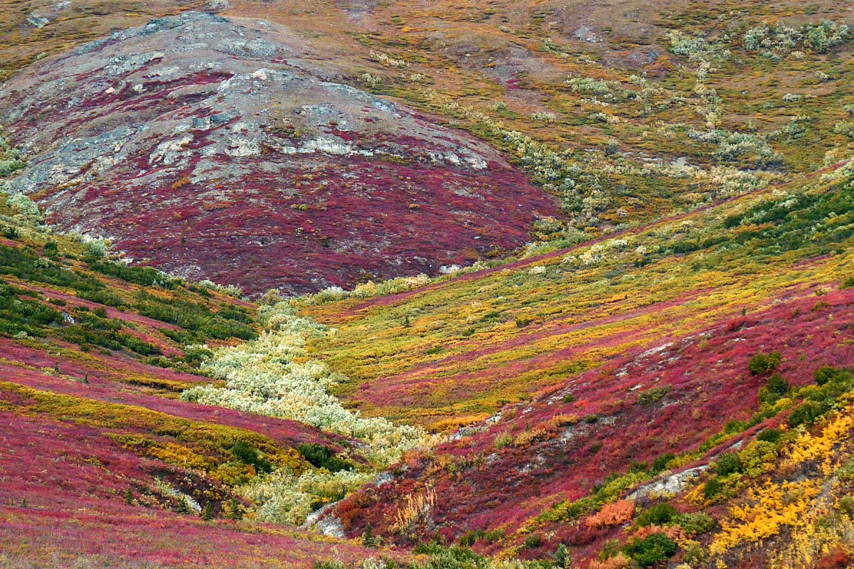 Paysages - Quand la nature se met  peindre / Landscapes - When Nature Starts Painting 2