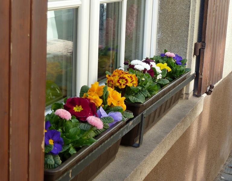 o3/80/968480/1/133631641.Gnb7G9vT.BoxedSpring.jpg