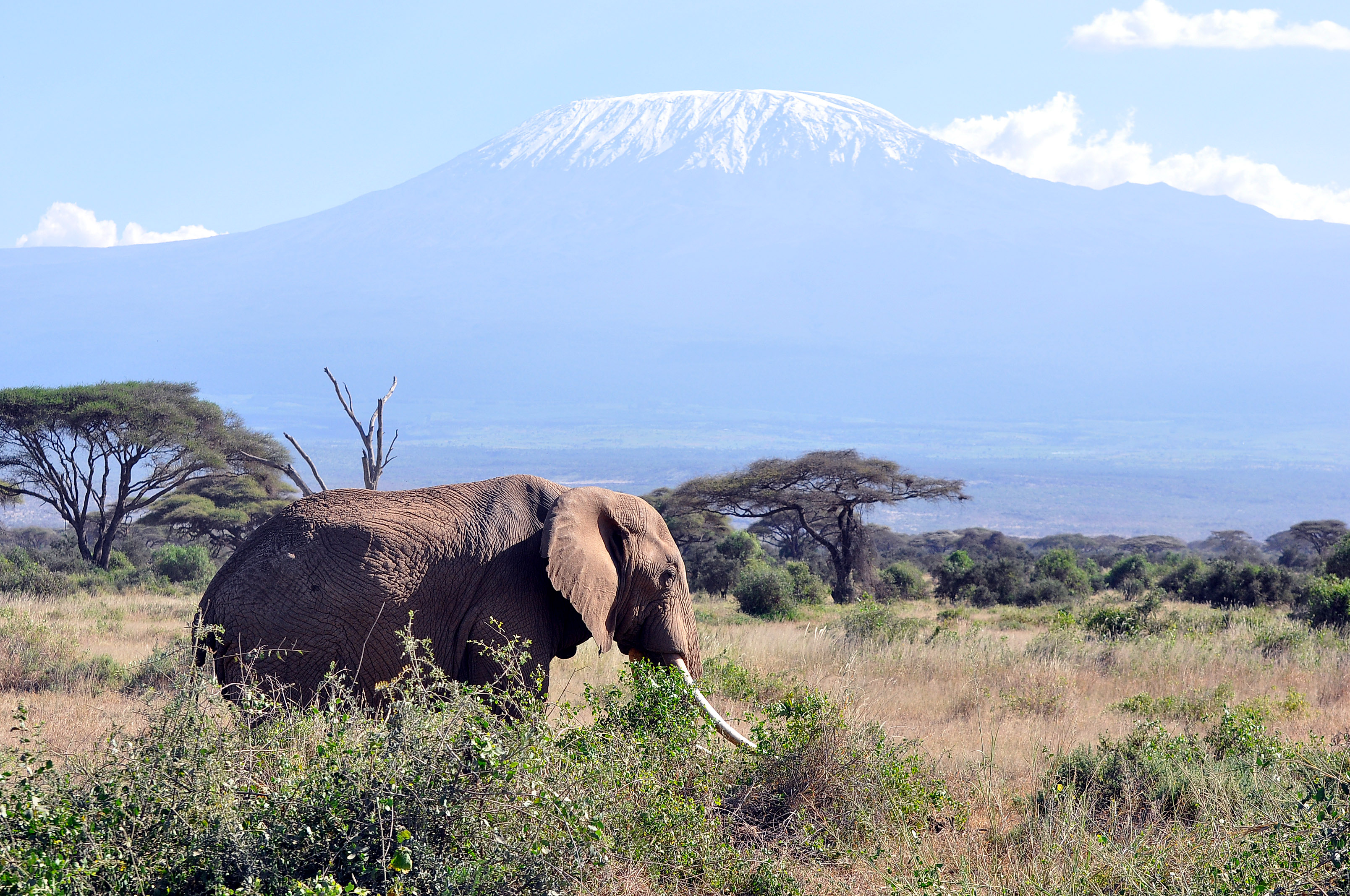 Amboseli National Park