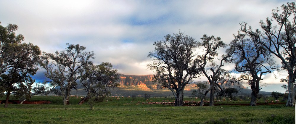 Wilpena Pound Pugilist Hill Road.jpg