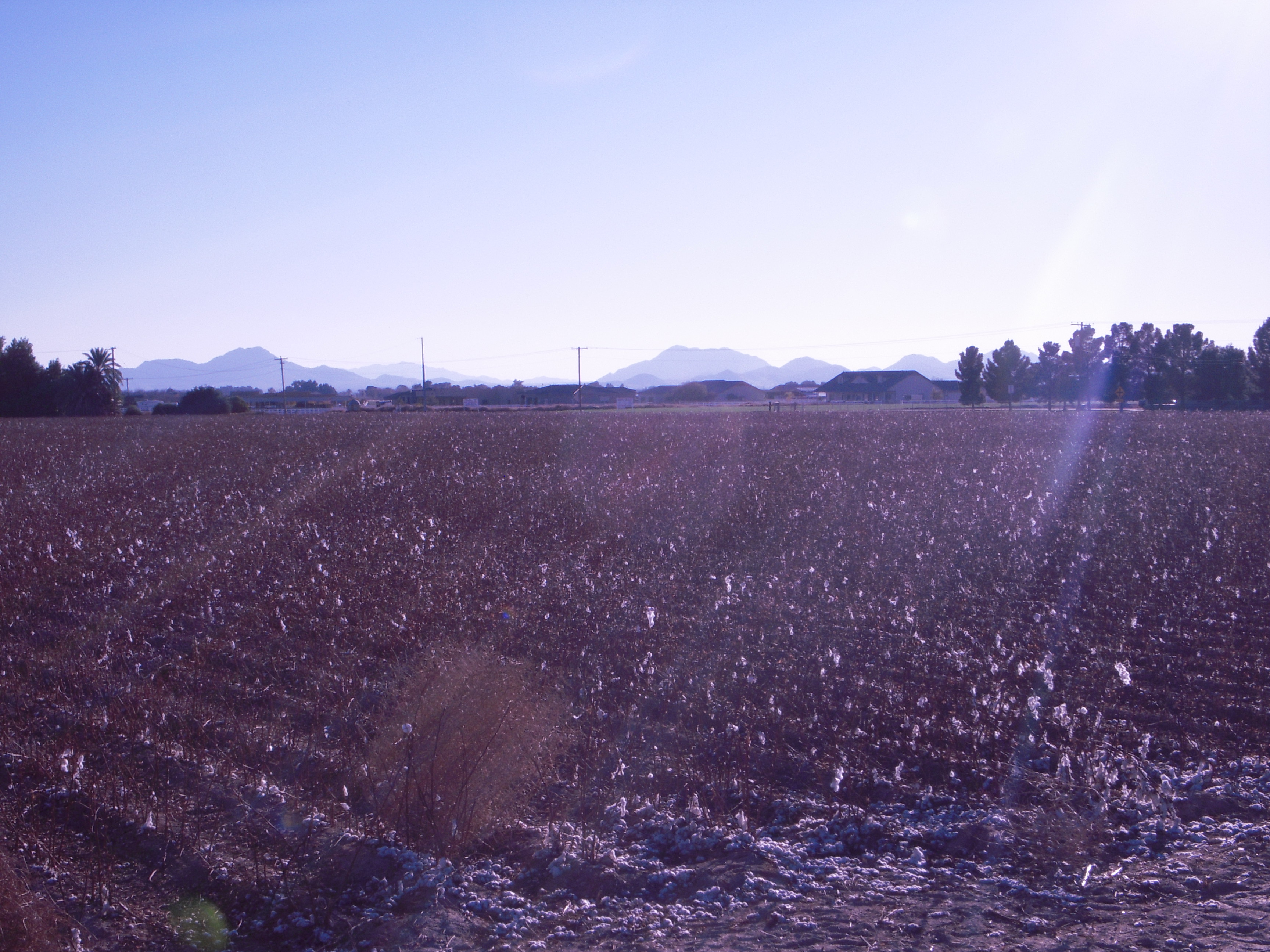 DSCN0797.JPG
