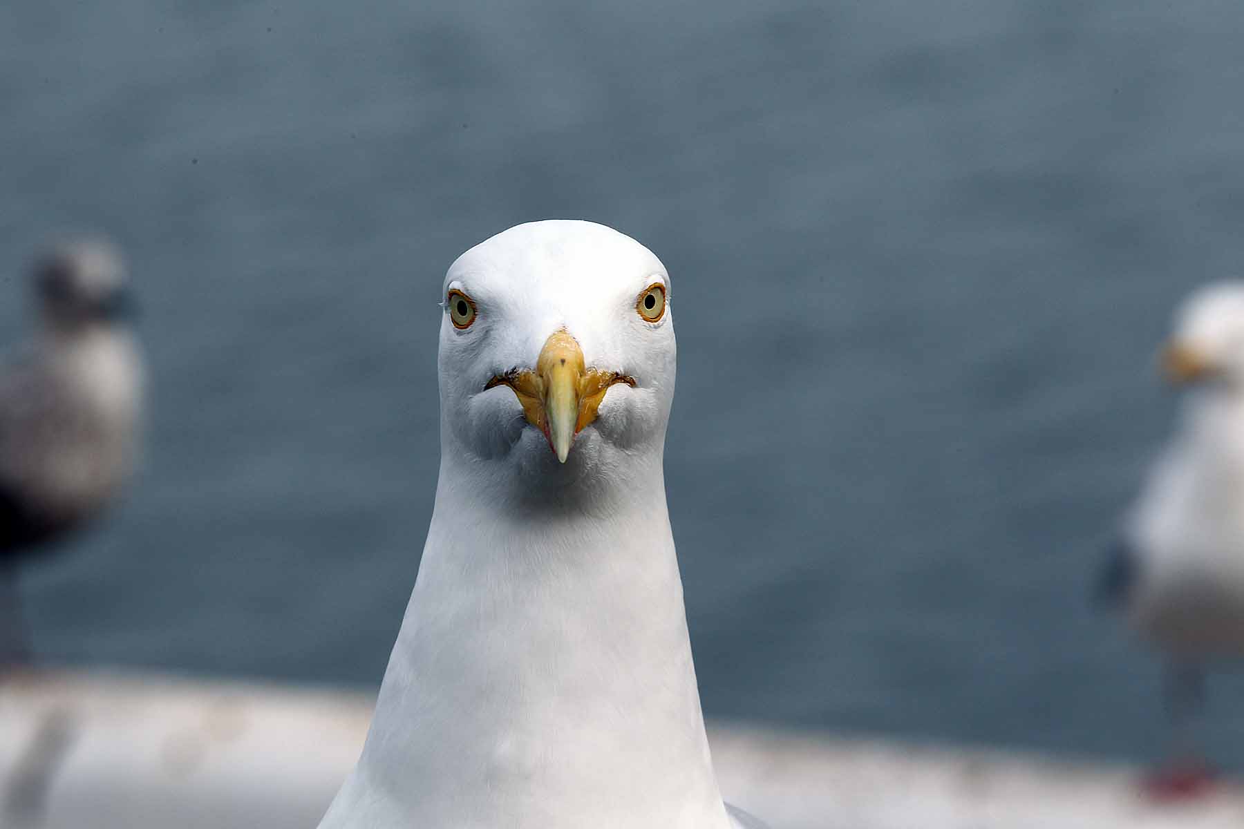 What, moi????