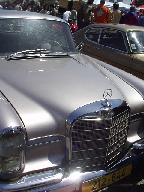 P4120074.JPG