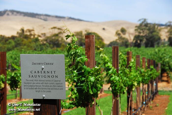 Barossa Valley