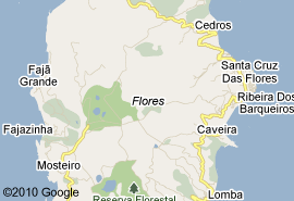 Flores