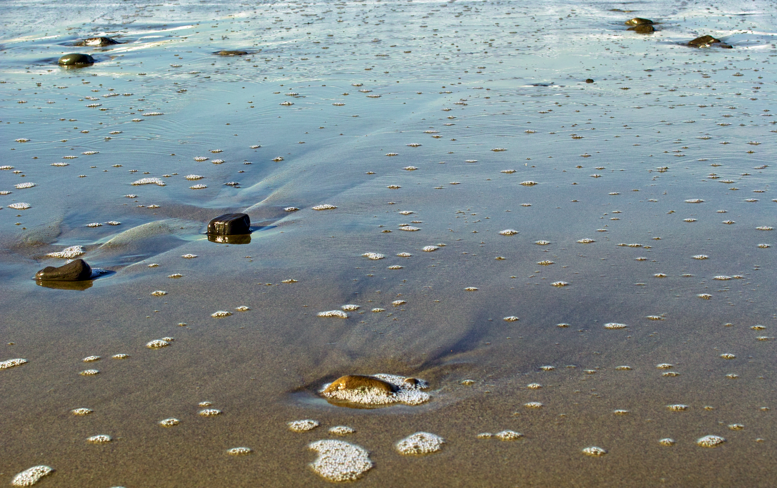 receeding foam