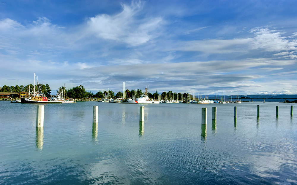 Humbolt Bay Marina