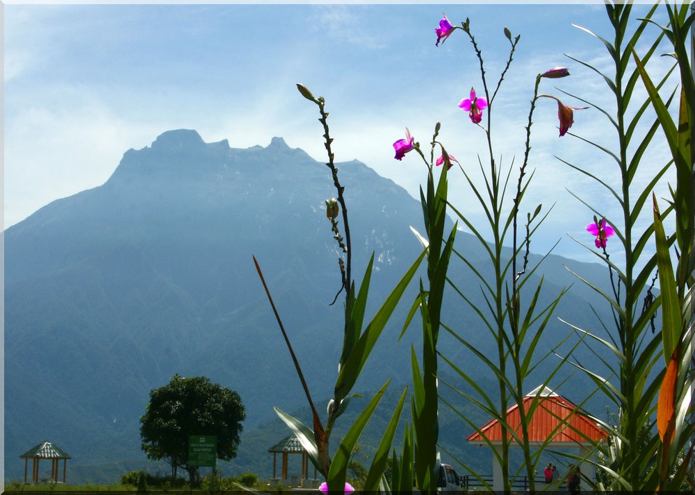 Mount Kinabalu