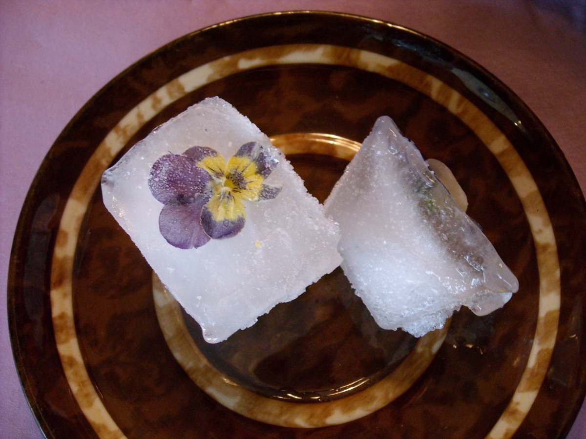 20081130-Ice-cubes with flowers.JPG