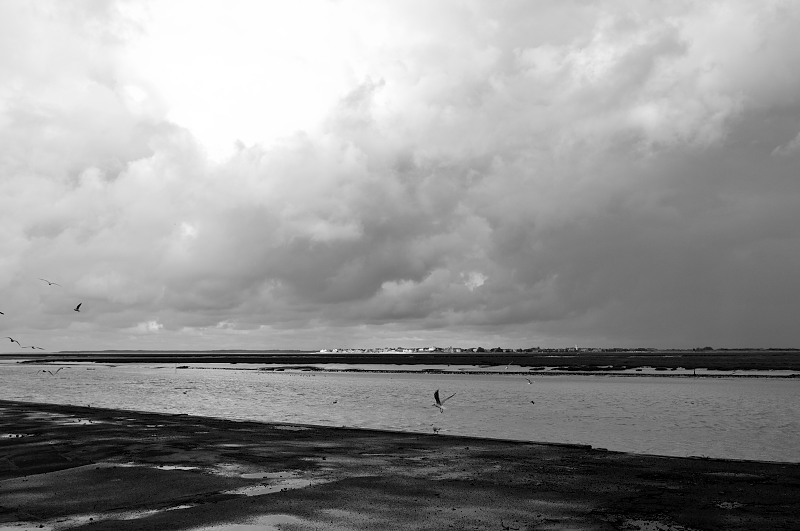 Baie de Somme - FR