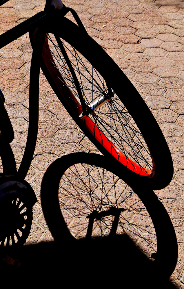 Bike shop, Scottsdale, Arizona, 2009