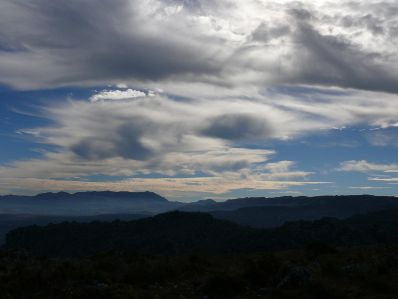 Montalate