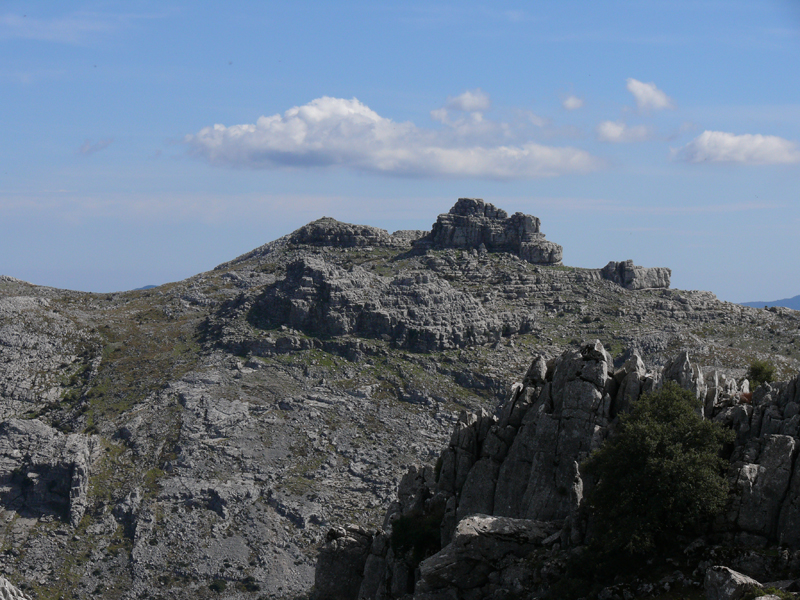 Mojon Alto