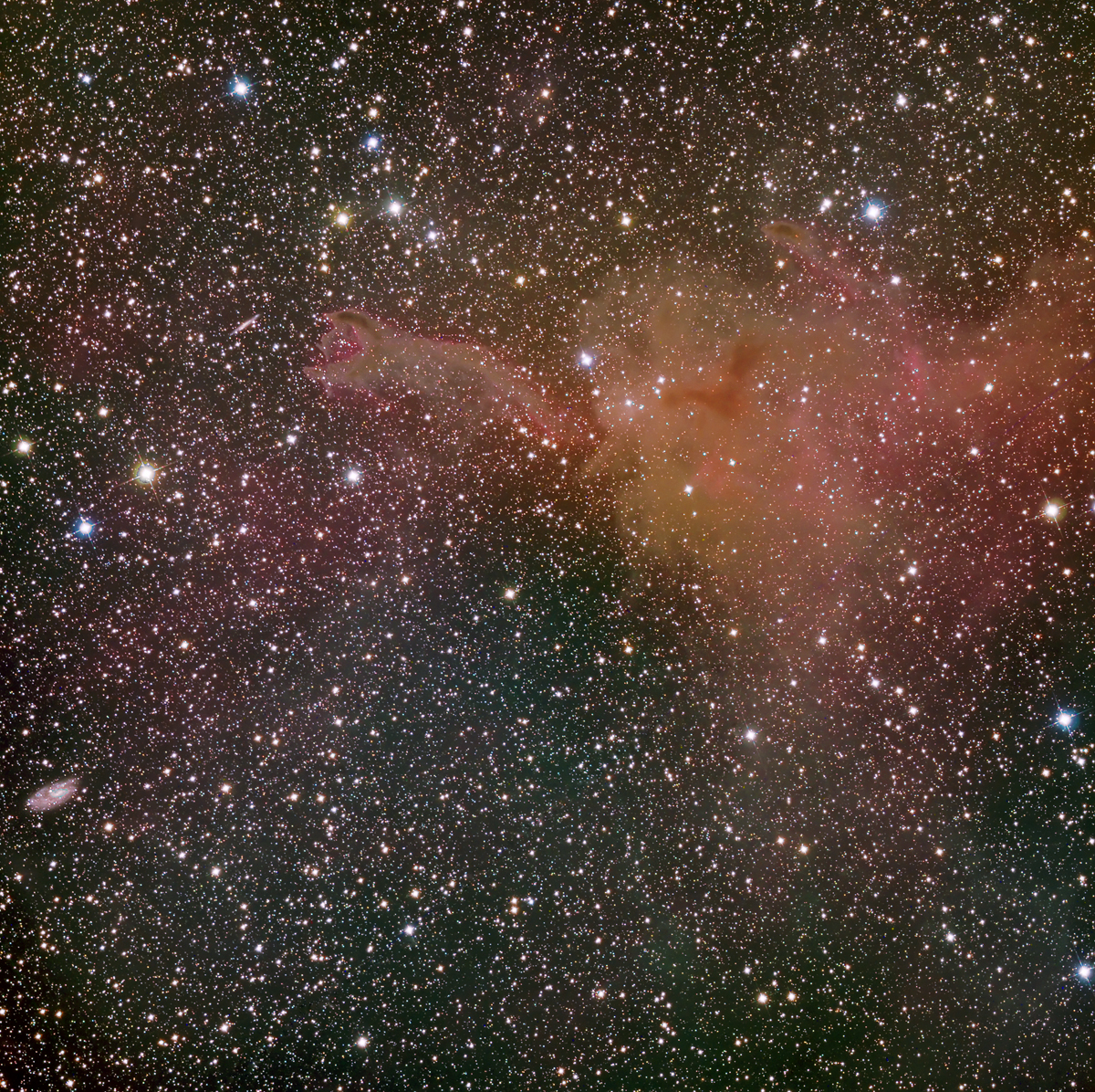 CG4 NGC 2427 