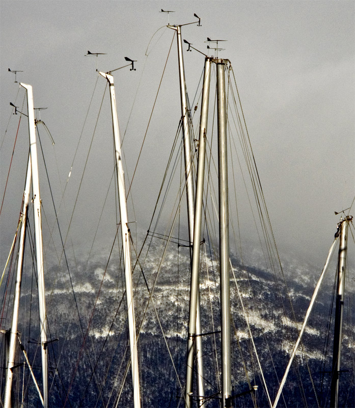 Too cold for sailing