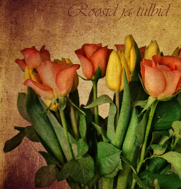 Roses & Tulips...