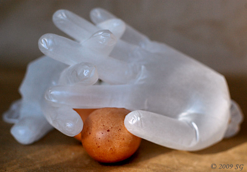 Untouched by Human Hands