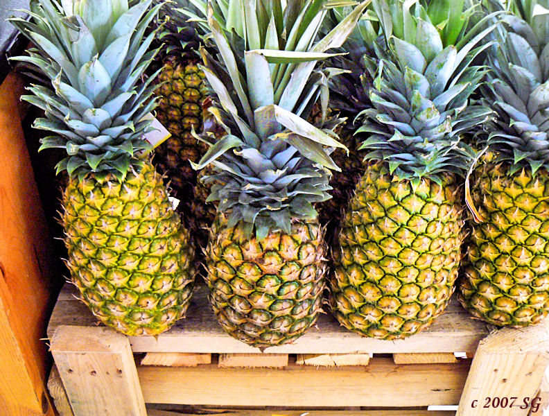 Pineapples