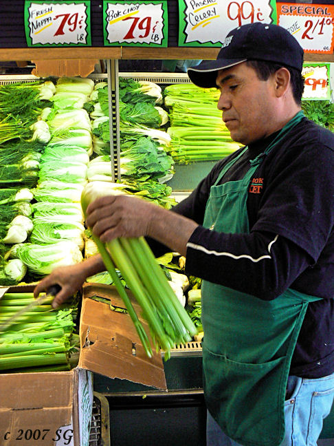 Dressing Celery