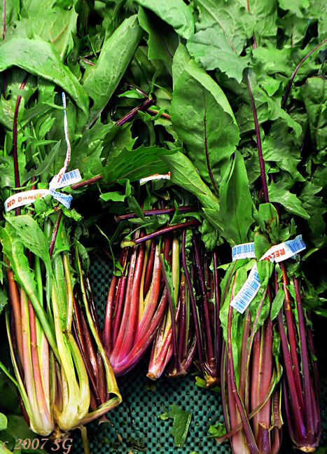 Skeins of Turnip Greens