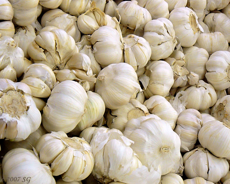 No Such Thing as Too Much Garlic