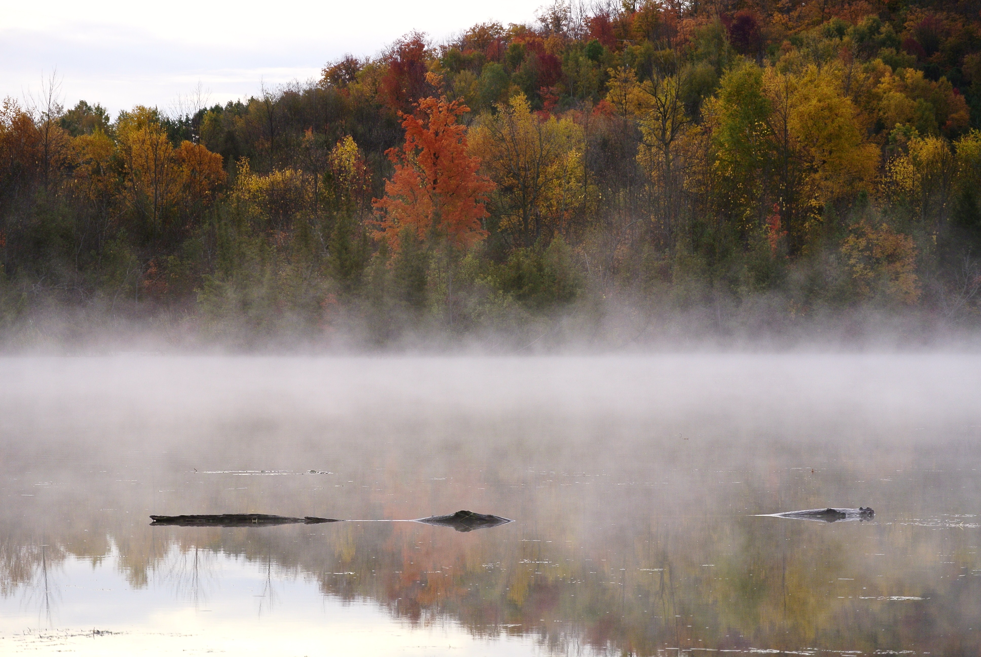 _DSC2260.JPG