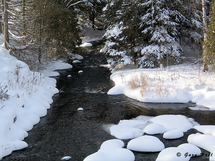 Humber River - Palgrave_03-12-29_0.JPG