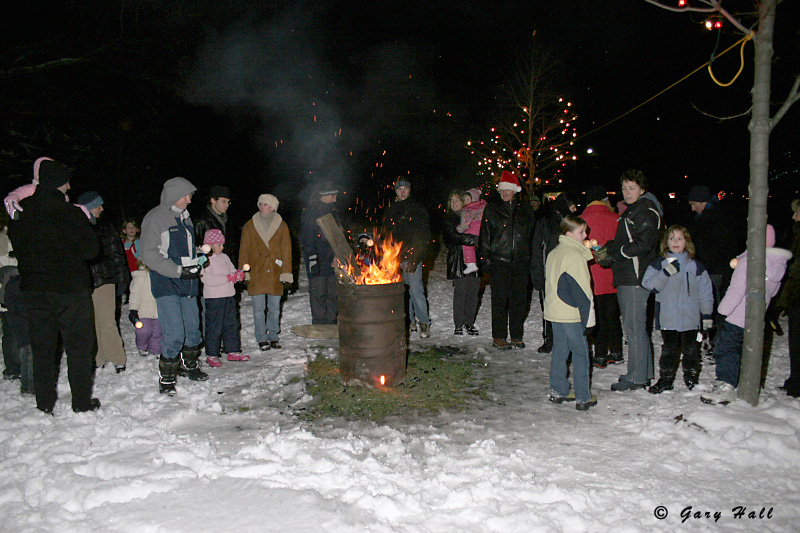 Xmas Tree Lighting - Palgrave_05-11-27_0.JPG
