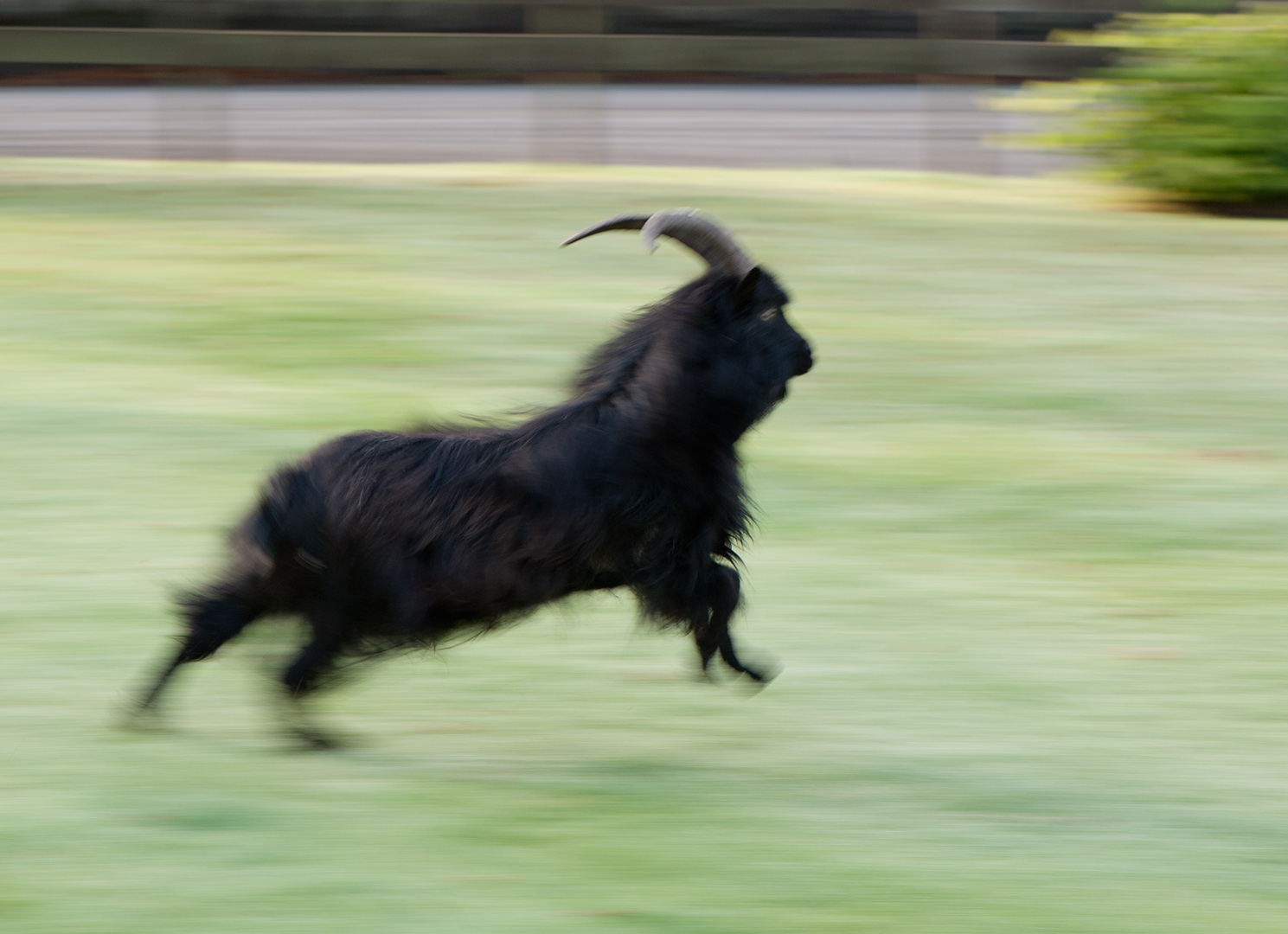_DSC8370s1080.jpg