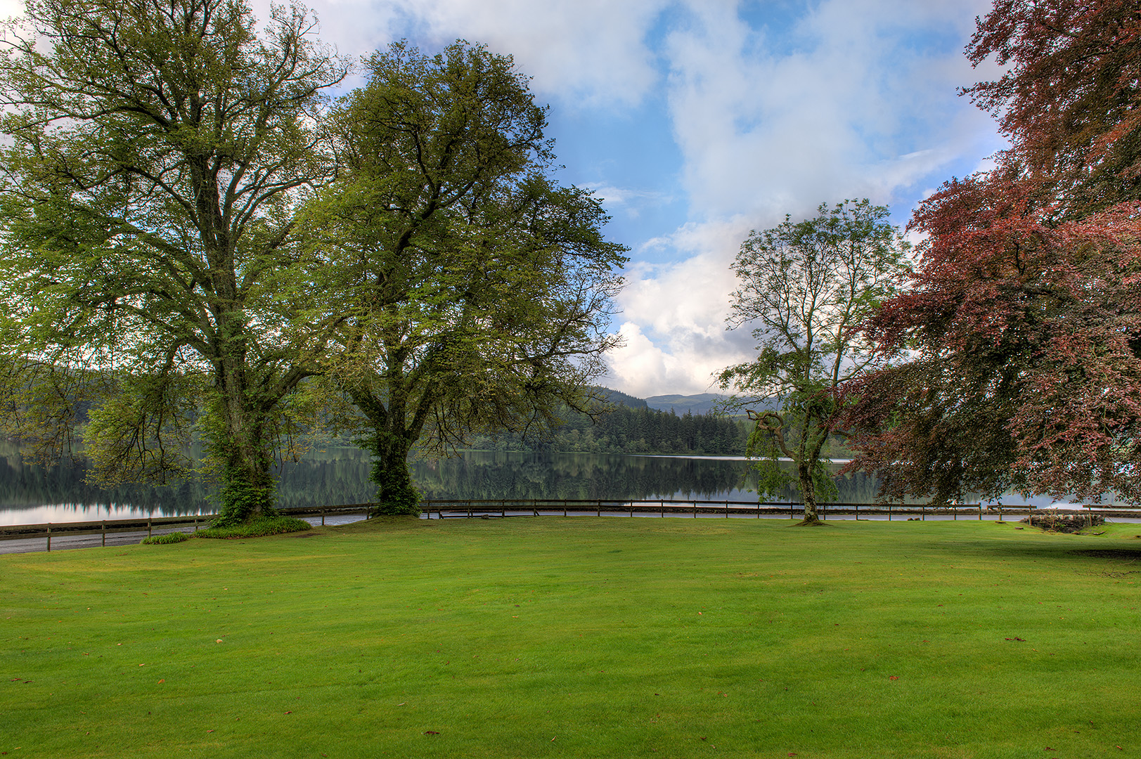 _DSC7296s1080.jpg