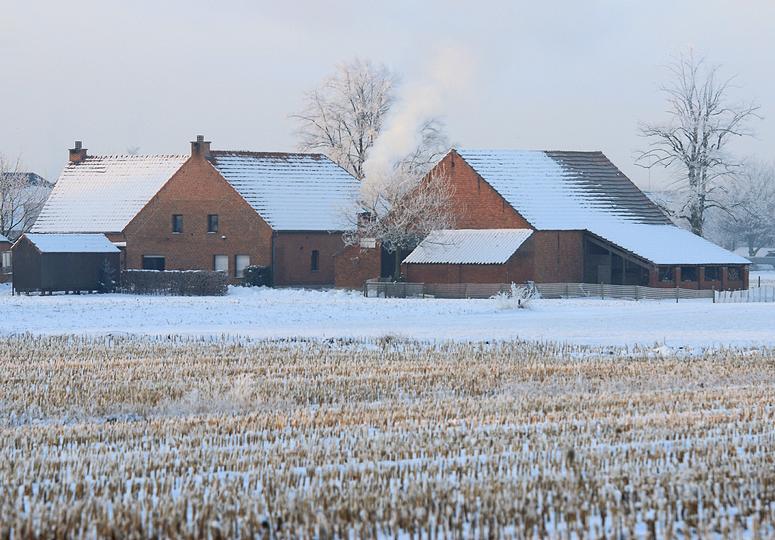 liereman-2009-01-09_002.jpg