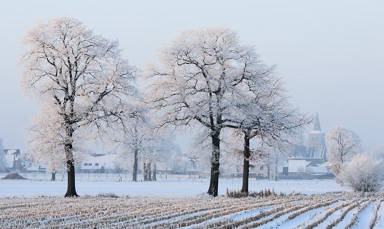 liereman-2009-01-09_005.jpg