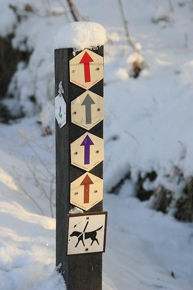 liereman-2009-01-09_006.jpg