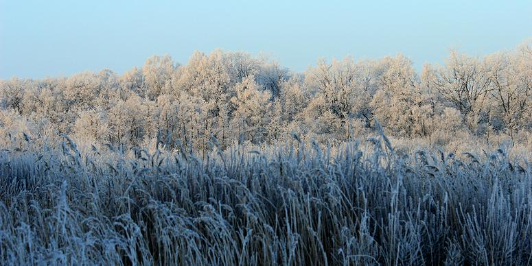 liereman-2009-01-09_016.jpg