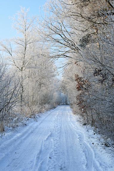 liereman-2009-01-09_021.jpg