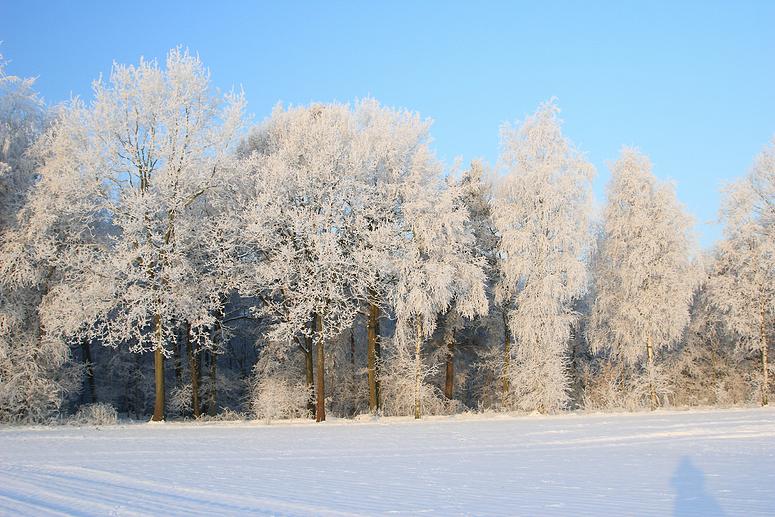 liereman-2009-01-09_028.jpg