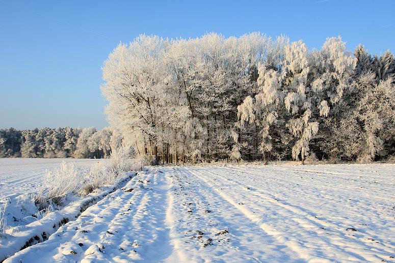 liereman-2009-01-09_068.jpg