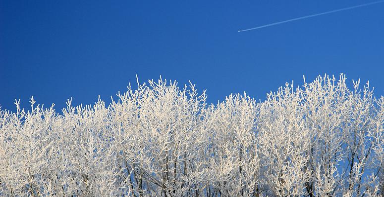 liereman-2009-01-09_071.jpg