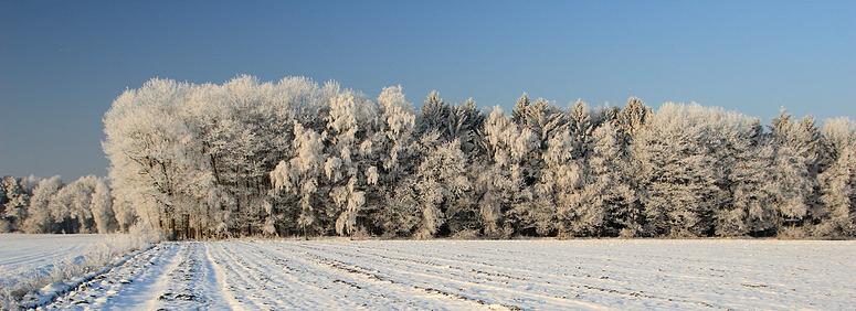 liereman-2009-01-09_075.jpg