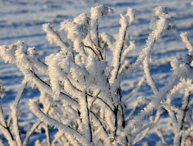 liereman-2009-01-09_076.jpg