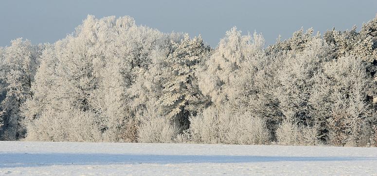 liereman-2009-01-09_085.jpg