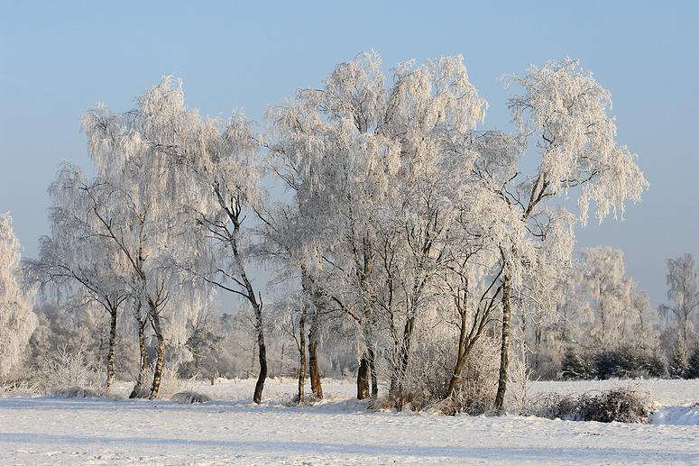liereman-2009-01-09_087.jpg