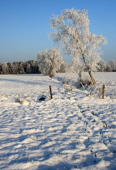 liereman-2009-01-09_093.jpg