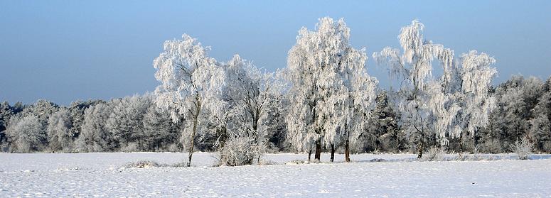 liereman-2009-01-09_099.jpg