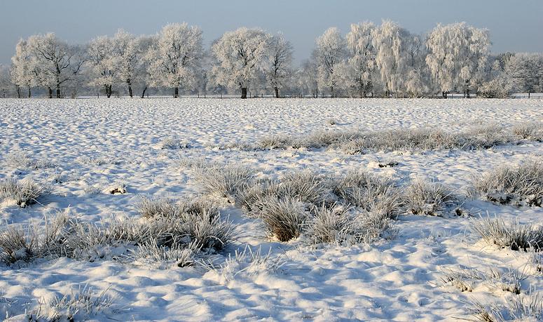 liereman-2009-01-09_101.jpg