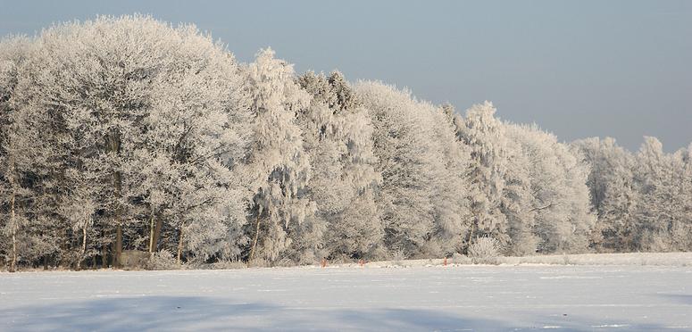 liereman-2009-01-09_117.jpg